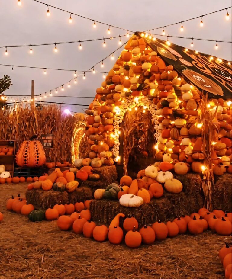 Fall Outdoor Decor Ideas – Endless Autumn Inspiration